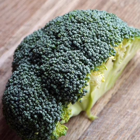 Brócoli
